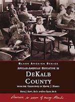 African American Education in Dekalb County