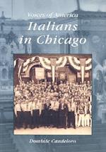 Italians in Chicago