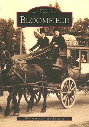 Bloomfield