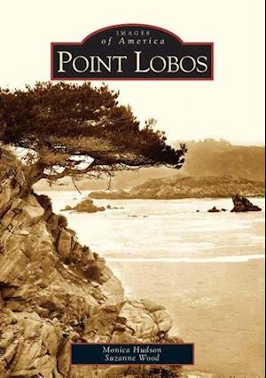 Point Lobos