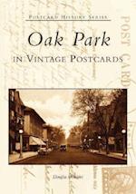 Oak Park in Vintage Postcards