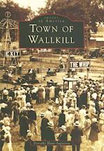 Town of Wallkill