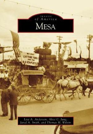 Mesa