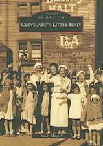 Cleveland's Little Italy