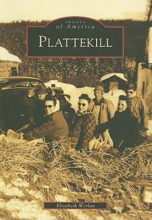 Plattekill