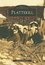 Plattekill