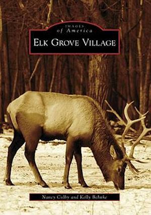 Elk Grove Village