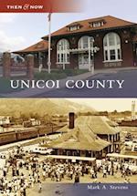 Unicoi County