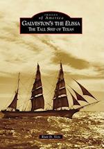 Galveston's the Elissa