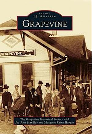 Grapevine