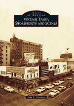 Vintage Tampa Storefronts and Scenes