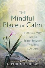The Mindful Place of Calm