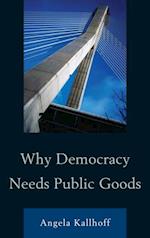 Why Democracy Needs Public Goods