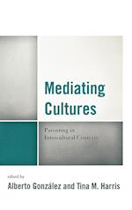 Mediating Cultures