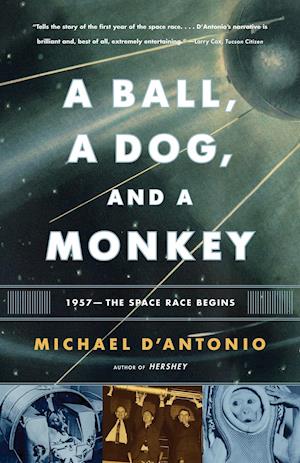 A Ball, a Dog, and a Monkey