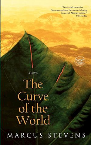 The Curve of the World