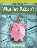 What Are Budgets? (Level 3)
