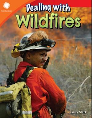 Dealing with Wildfires