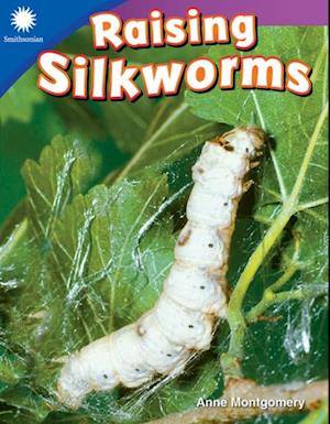 Raising Silkworms