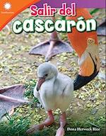 Salir del Cascarón (Hatching a Chick)