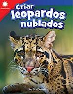 Criar Leopardos Nublados (Raising Clouded Leopards)