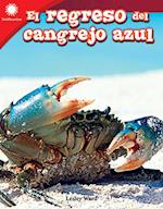 regreso del cangrejo azul