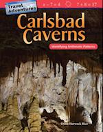 Travel Adventures: Carlsbad Caverns