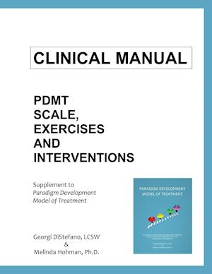 Clinical Manual for the Paradigm Developmental Model of Treatment
