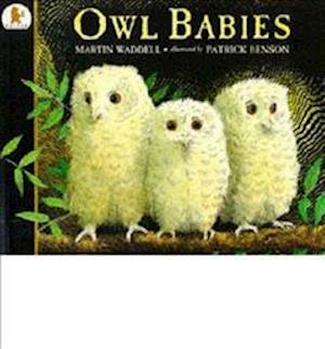 Owl Babies