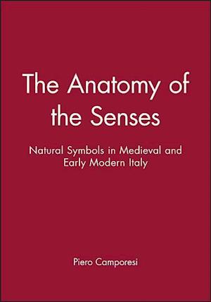 The Anatomy of the Senses