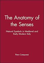 The Anatomy of the Senses