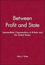 Between Profit and State – Intermediate Organisations in Britain and the United States