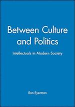 Between Culture and Politics – Intellectuals in Modern Society