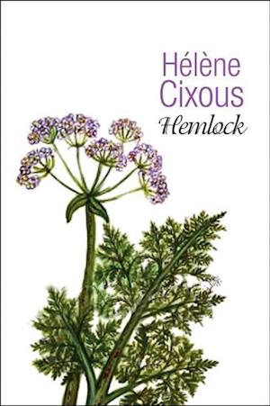 Hemlock – Old Women in Bloom