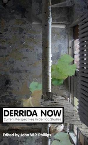 Derrida Now