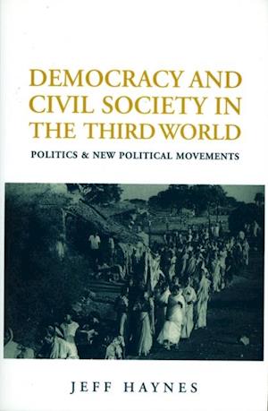 Democracy and Civil Society in the Third World