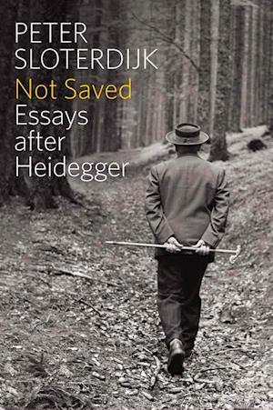 Not Saved – Essays After Heidegger