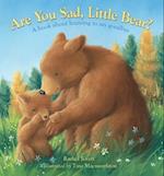 Are You Sad, Little Bear?