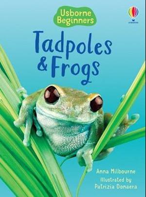 Tadpoles and Frogs