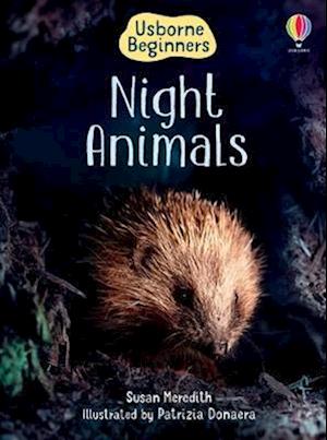 Night Animals