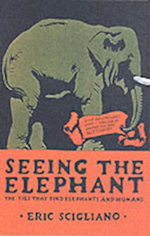 Seeing the Elephant