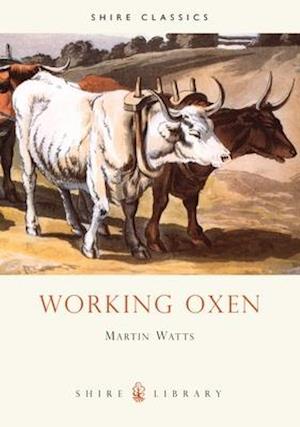 Working Oxen