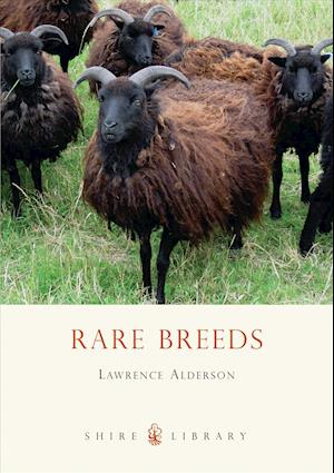 Rare Breeds