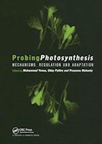 Probing Photosynthesis