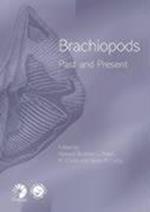 Brachiopods