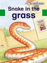 Wellington Square Assessment Kit - Snake in the Grass
