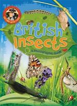 Nature Detective: British Insects