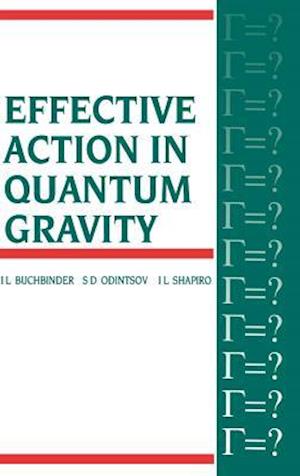 Effective Action in Quantum Gravity