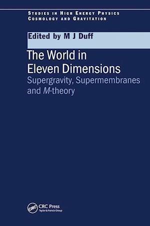 The World in Eleven Dimensions