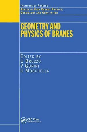 Geometry and Physics of Branes